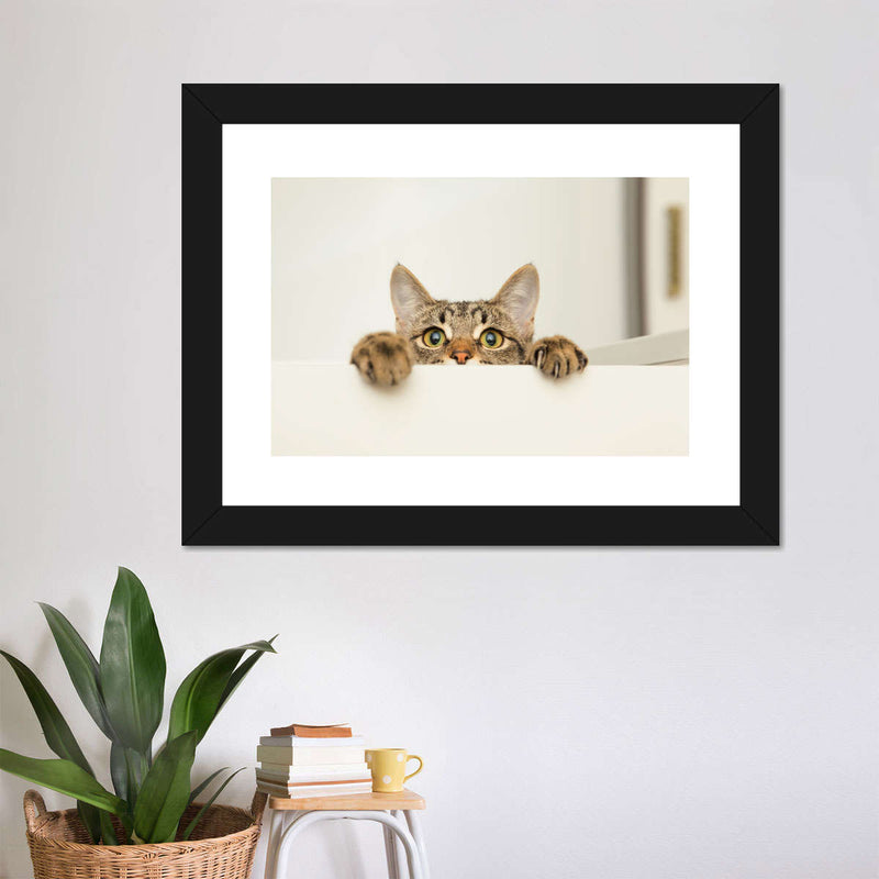 Peeking Young Cat Wall Art