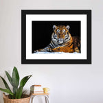 Tiger Snapshot Wall Art