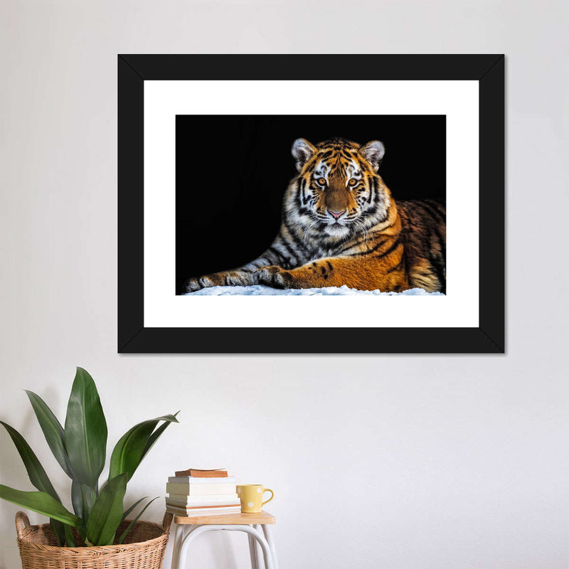 Tiger Snapshot Wall Art