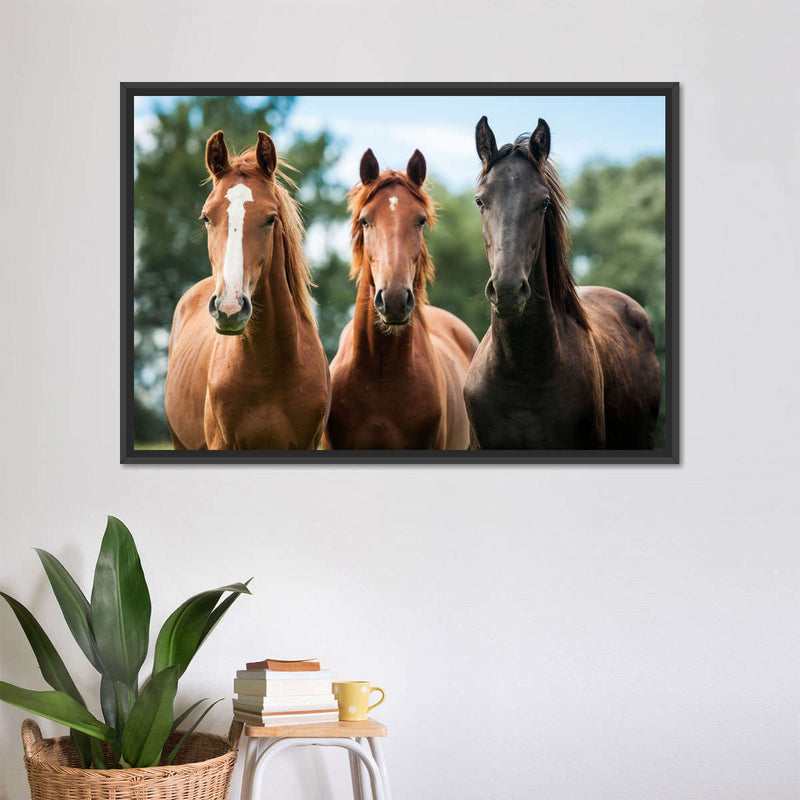 Young Horses Wall Art