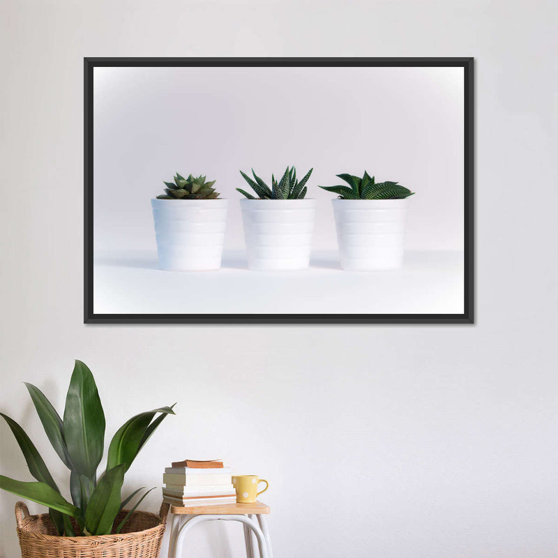 Three Succulents Wall Art