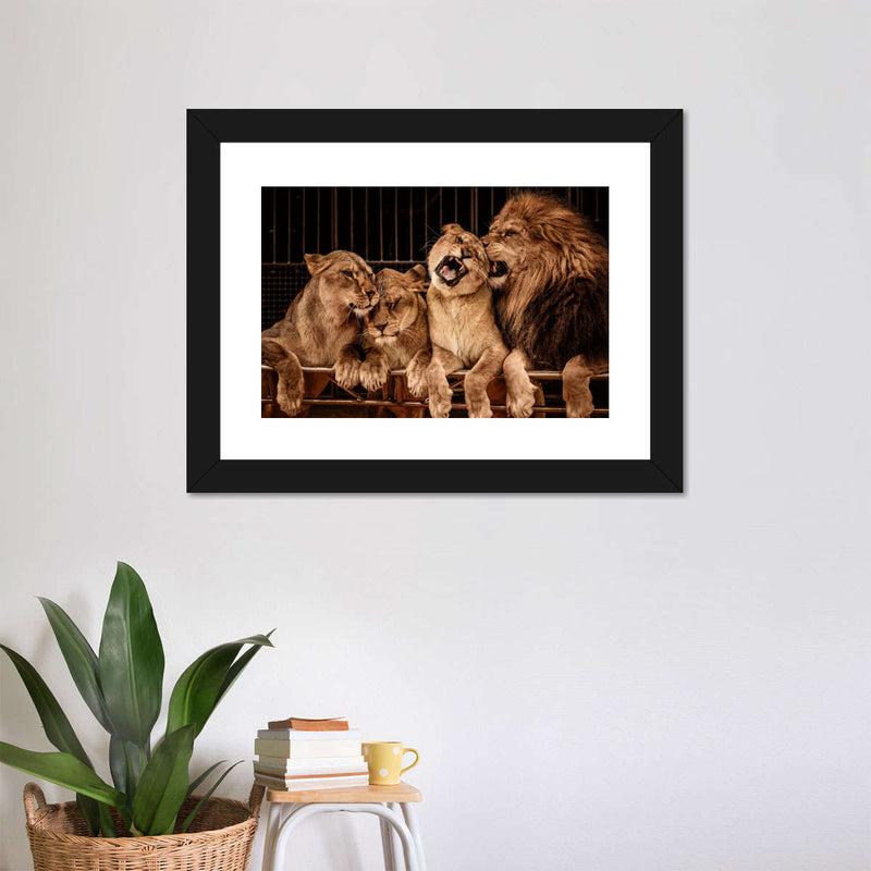 Pride Of Lions Wall Art