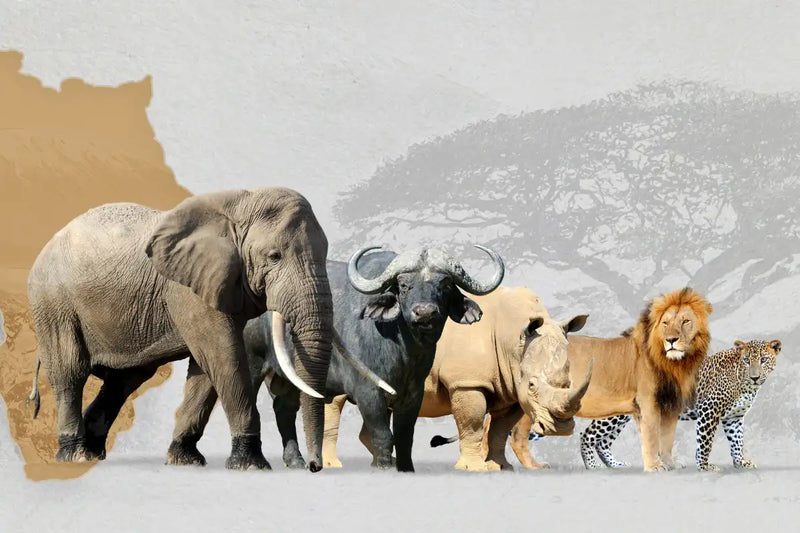 Iconic Safari Animals Wall Art