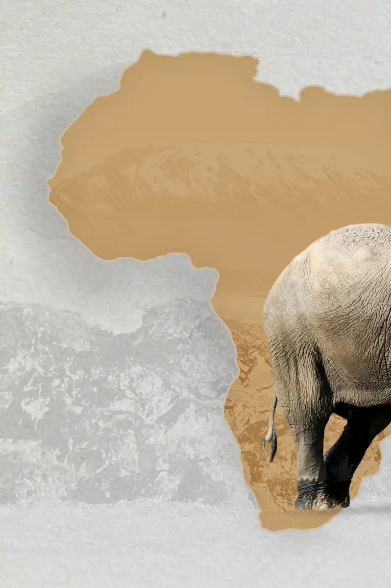 Iconic Safari Animals Wall Art