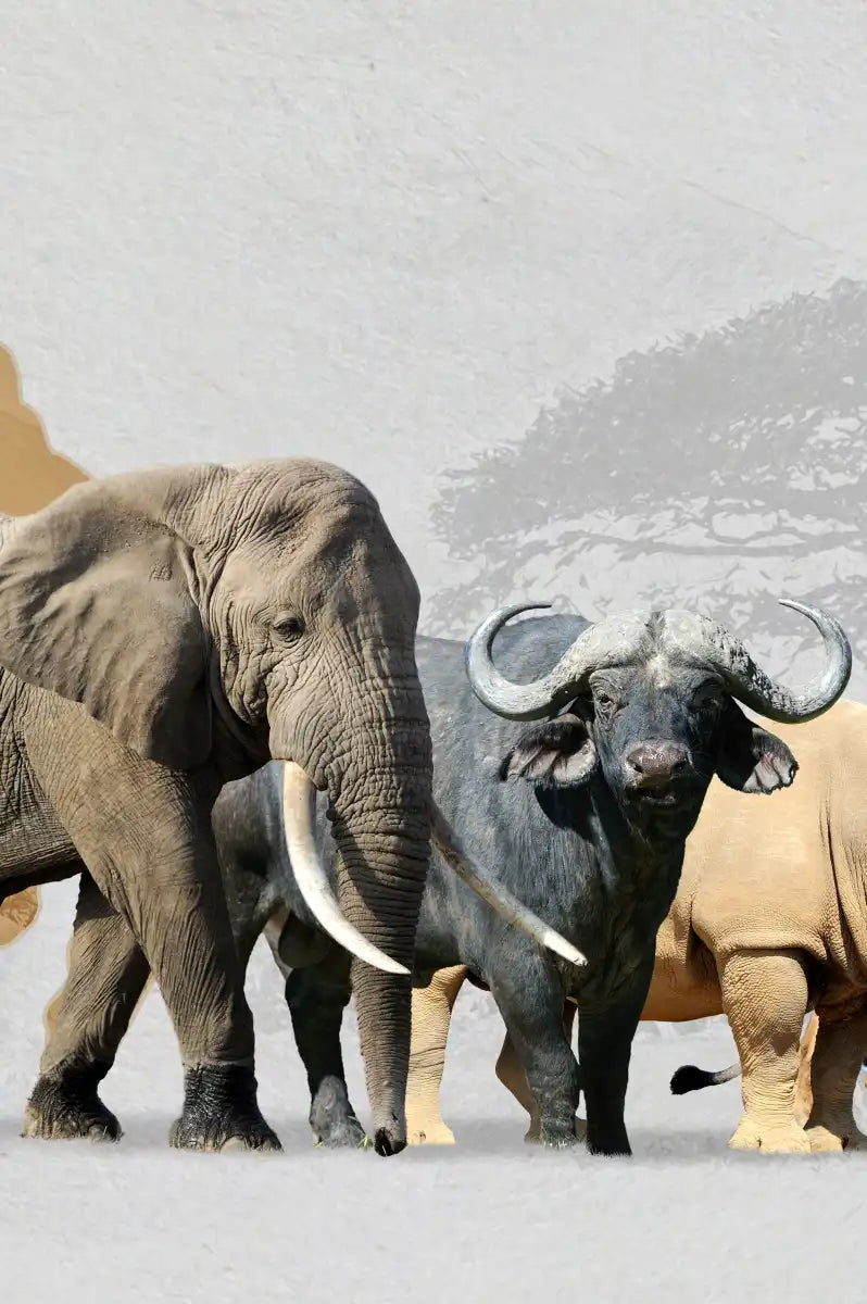 Iconic Safari Animals Wall Art