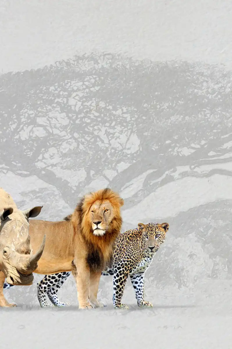 Iconic Safari Animals Wall Art