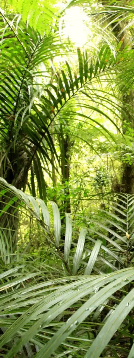 Into The Jungle Wall Art