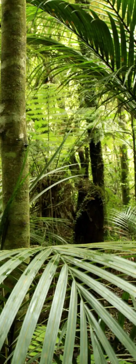 Into The Jungle Wall Art