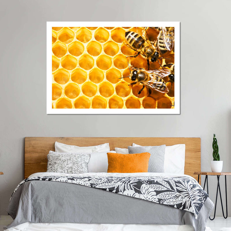 Honey Bee Hive Wall Art