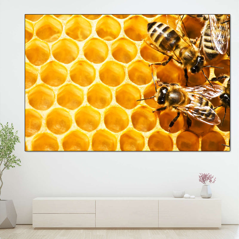 Honey Bee Hive Wall Art