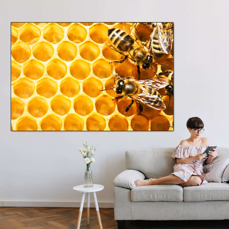 Honey Bee Hive Wall Art