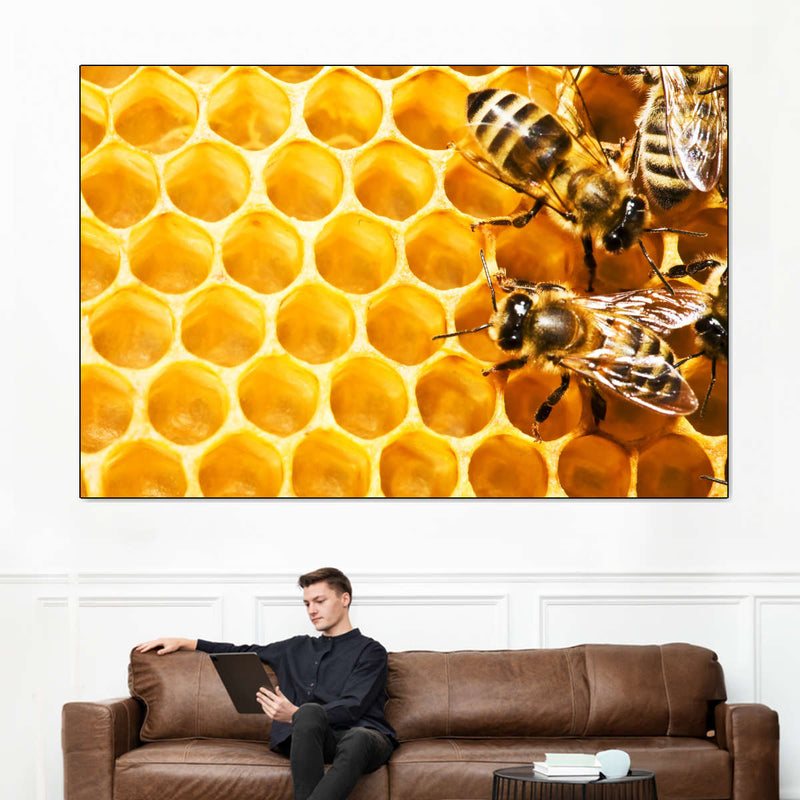 Honey Bee Hive Wall Art