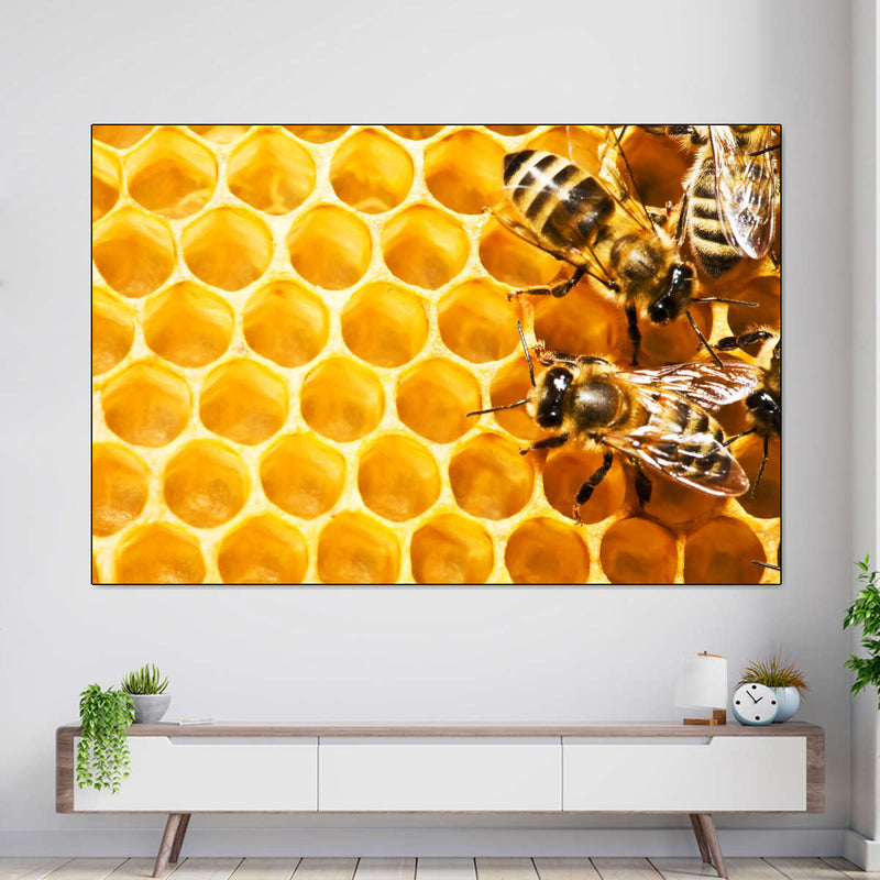 Honey Bee Hive Wall Art