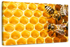 Honey Bee Hive Wall Art