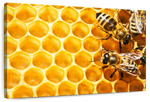 Honey Bee Hive Wall Art