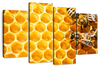 Honey Bee Hive Wall Art