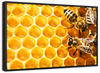 Honey Bee Hive Wall Art