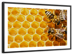 Honey Bee Hive Wall Art