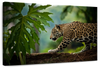 Sneaky Jaguar Wall Art