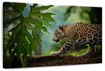 Sneaky Jaguar Wall Art