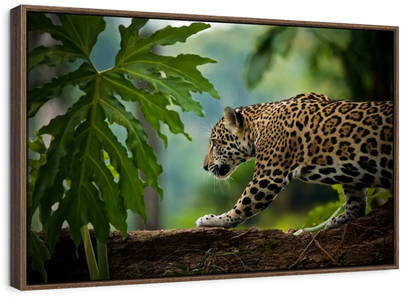 Sneaky Jaguar Wall Art