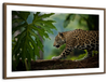 Sneaky Jaguar Wall Art