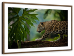 Sneaky Jaguar Wall Art