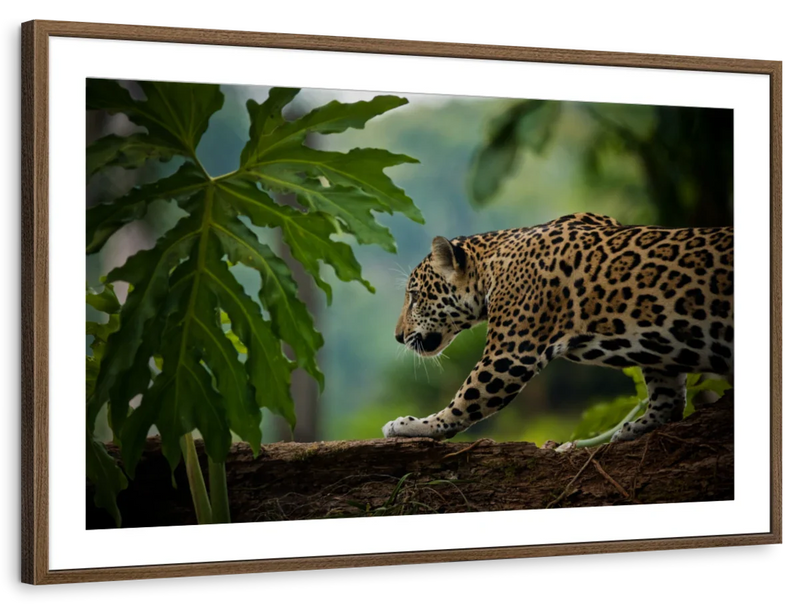Sneaky Jaguar Wall Art