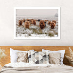Winter Highland Cows Wall Art
