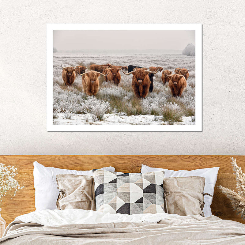 Winter Highland Cows Wall Art