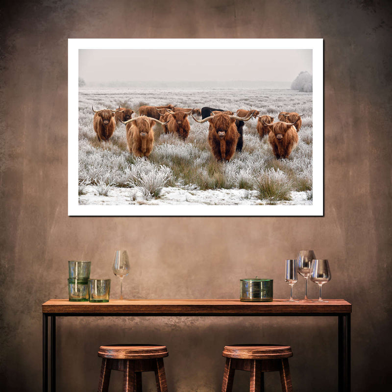 Winter Highland Cows Wall Art