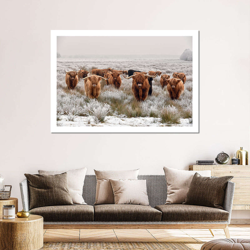 Winter Highland Cows Wall Art