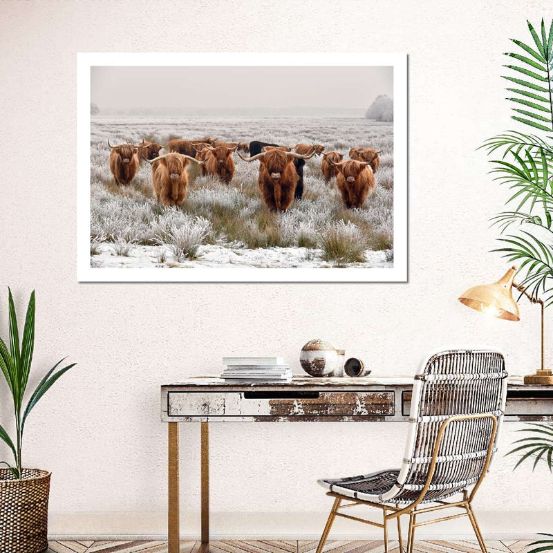Winter Highland Cows Wall Art