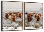 Winter Highland Cows Wall Art