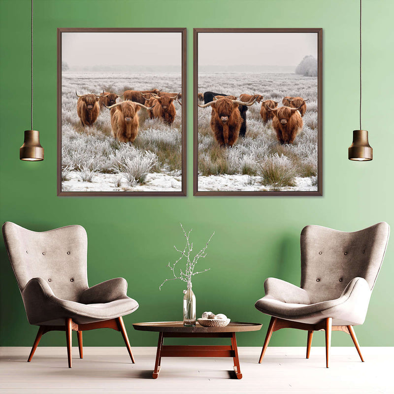 Winter Highland Cows Wall Art