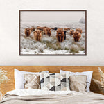Winter Highland Cows Wall Art