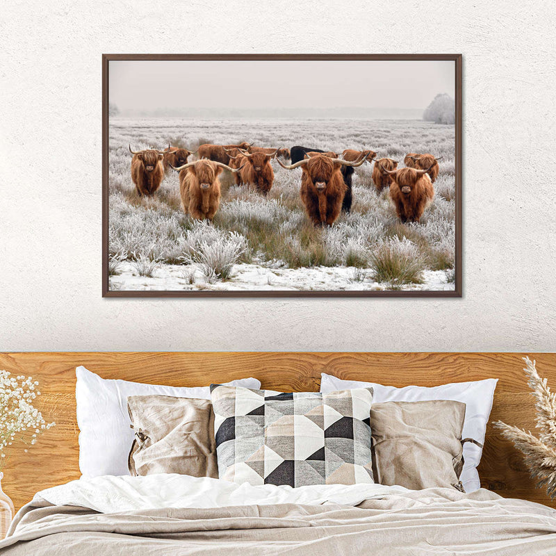 Winter Highland Cows Wall Art