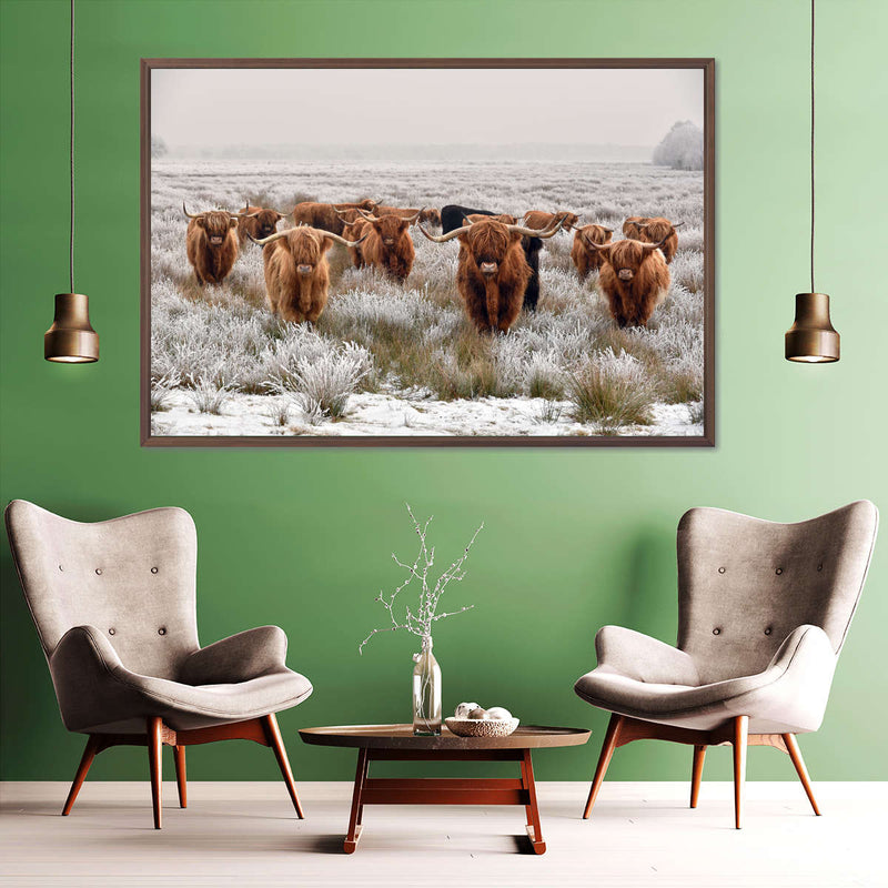 Winter Highland Cows Wall Art