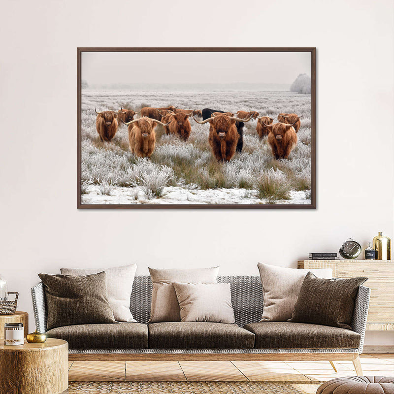 Winter Highland Cows Wall Art