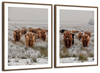 Winter Highland Cows Wall Art