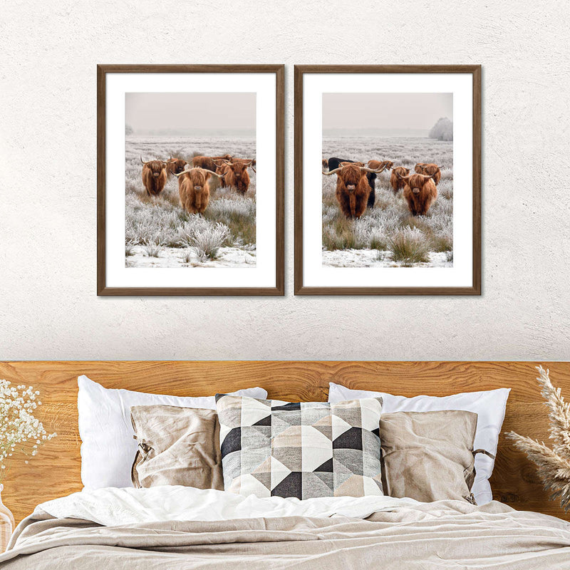 Winter Highland Cows Wall Art