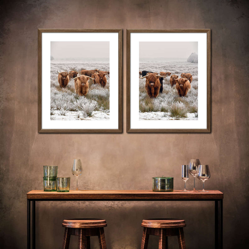 Winter Highland Cows Wall Art