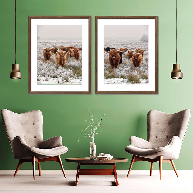 Winter Highland Cows Wall Art