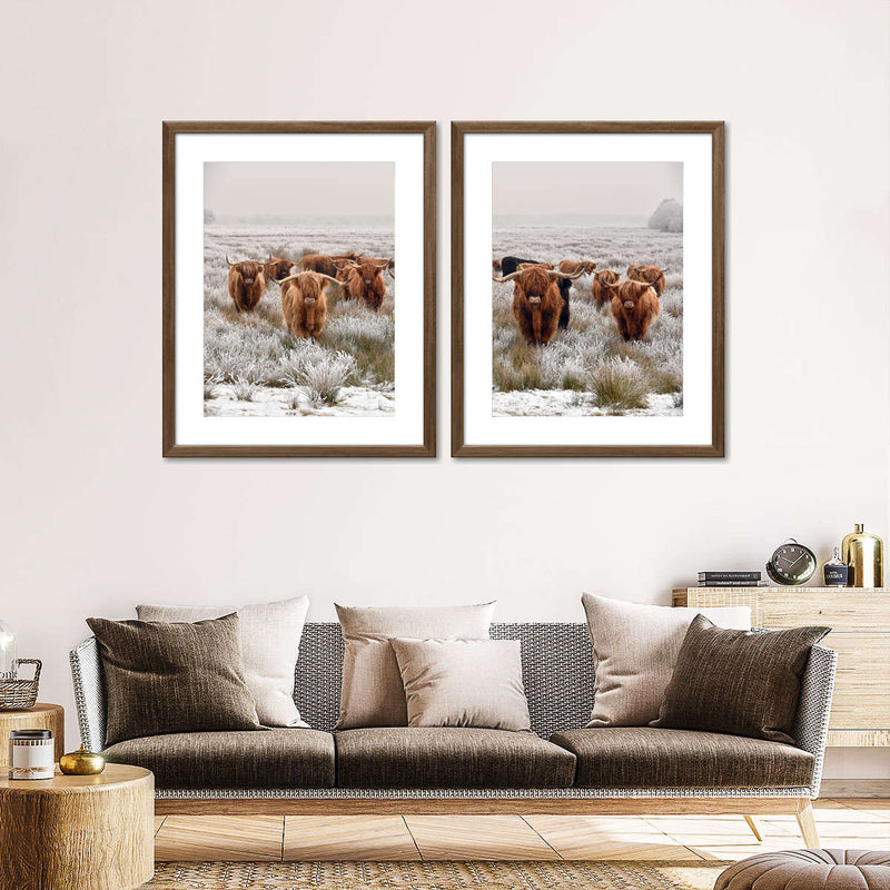 Winter Highland Cows Wall Art