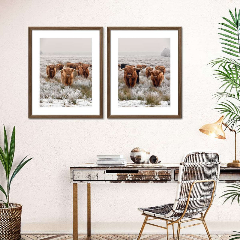 Winter Highland Cows Wall Art