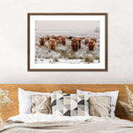 Winter Highland Cows Wall Art