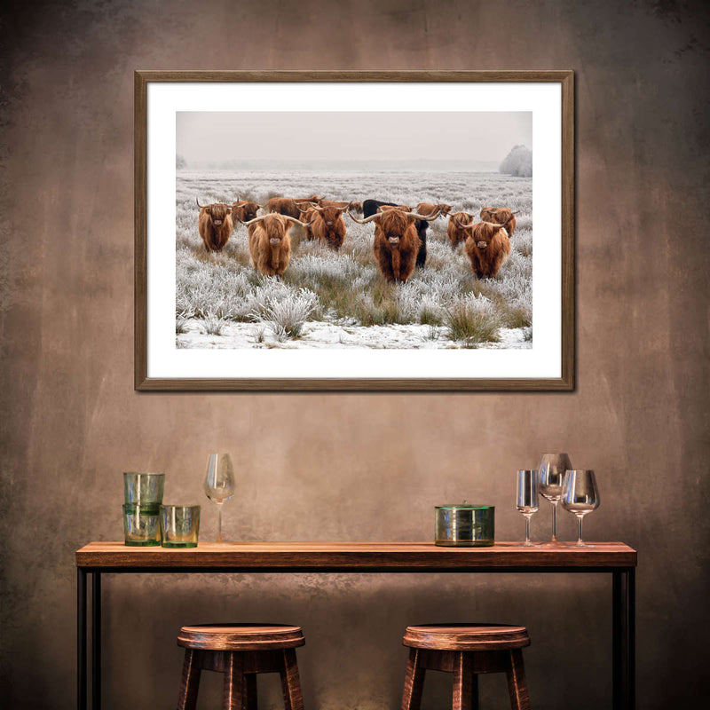 Winter Highland Cows Wall Art