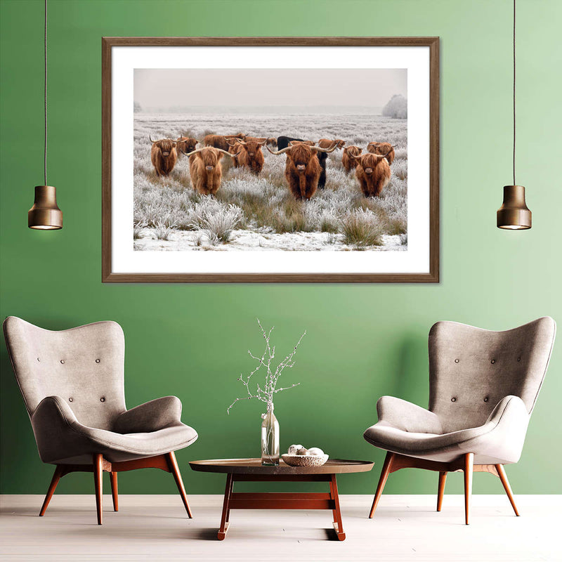 Winter Highland Cows Wall Art