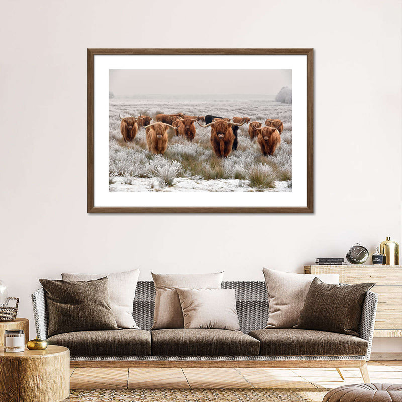 Winter Highland Cows Wall Art
