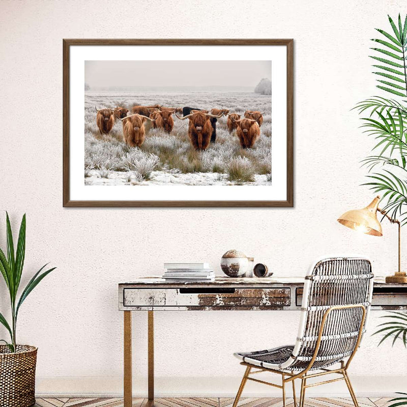 Winter Highland Cows Wall Art